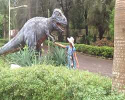 The museum is also equipped with a park filled with beautiful plants and flowers and this alluring nature of the park fascinates the visitors and also